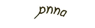 عبارت امنیتی