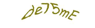 عبارت امنیتی