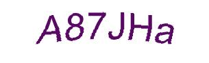 عبارت امنیتی