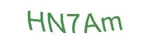 عبارت امنیتی