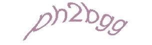 عبارت امنیتی