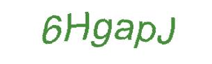 عبارت امنیتی