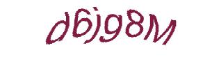 عبارت امنیتی