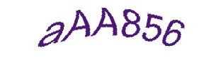 عبارت امنیتی