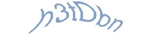 عبارت امنیتی