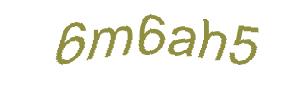 عبارت امنیتی