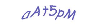 عبارت امنیتی
