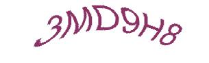عبارت امنیتی