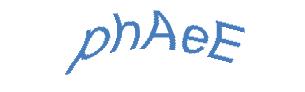 عبارت امنیتی