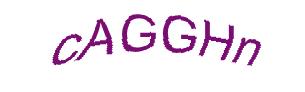 عبارت امنیتی