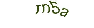 عبارت امنیتی