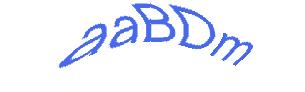 عبارت امنیتی