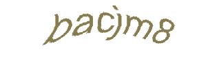 عبارت امنیتی