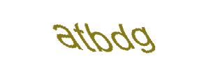 عبارت امنیتی