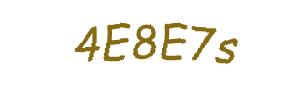 عبارت امنیتی