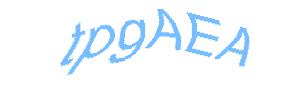عبارت امنیتی