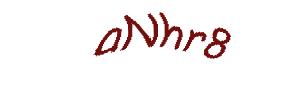 عبارت امنیتی