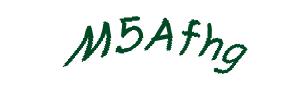 عبارت امنیتی