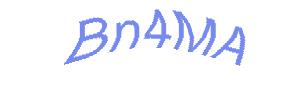 عبارت امنیتی