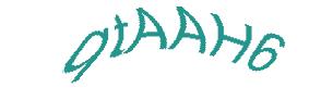 عبارت امنیتی
