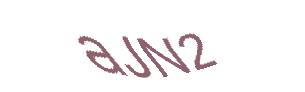 عبارت امنیتی