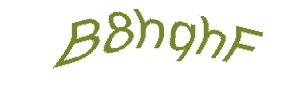 عبارت امنیتی