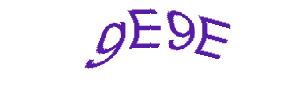 عبارت امنیتی