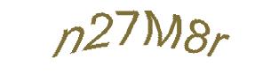 عبارت امنیتی