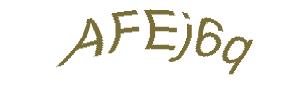 عبارت امنیتی