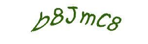 عبارت امنیتی