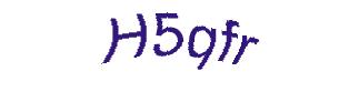 عبارت امنیتی