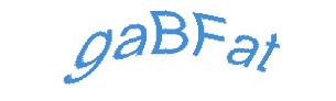 عبارت امنیتی