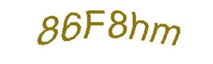 عبارت امنیتی