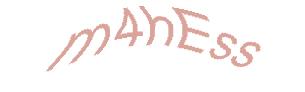 عبارت امنیتی