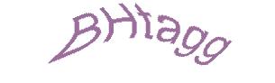 عبارت امنیتی