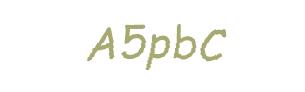 عبارت امنیتی