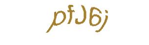 عبارت امنیتی