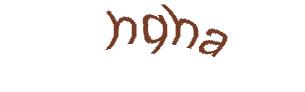 عبارت امنیتی