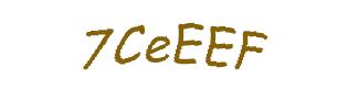 عبارت امنیتی
