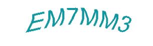 عبارت امنیتی