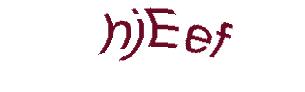 عبارت امنیتی