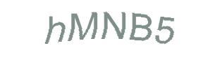 عبارت امنیتی