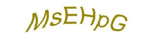 عبارت امنیتی
