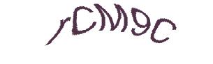 عبارت امنیتی