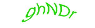 عبارت امنیتی