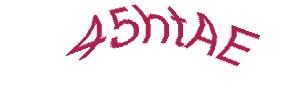 عبارت امنیتی