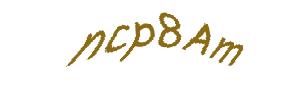 عبارت امنیتی