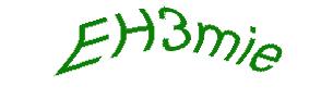 عبارت امنیتی