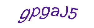 عبارت امنیتی