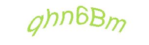 عبارت امنیتی